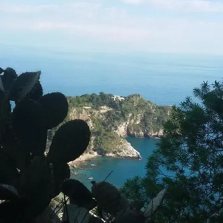 A Mennulara, Centro